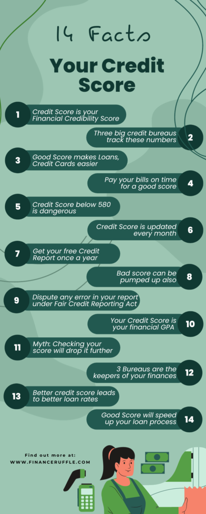 Finance Ruffle Credit Score Infographics